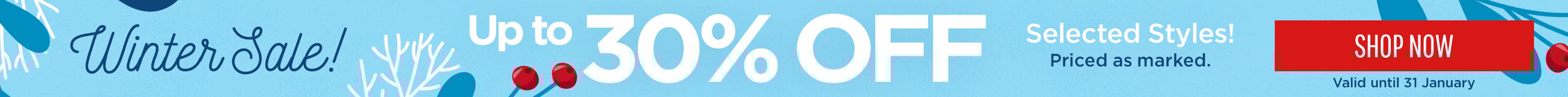 Winter Sale Skinny Banner North/UK